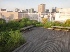 kanda_13-01.jpg